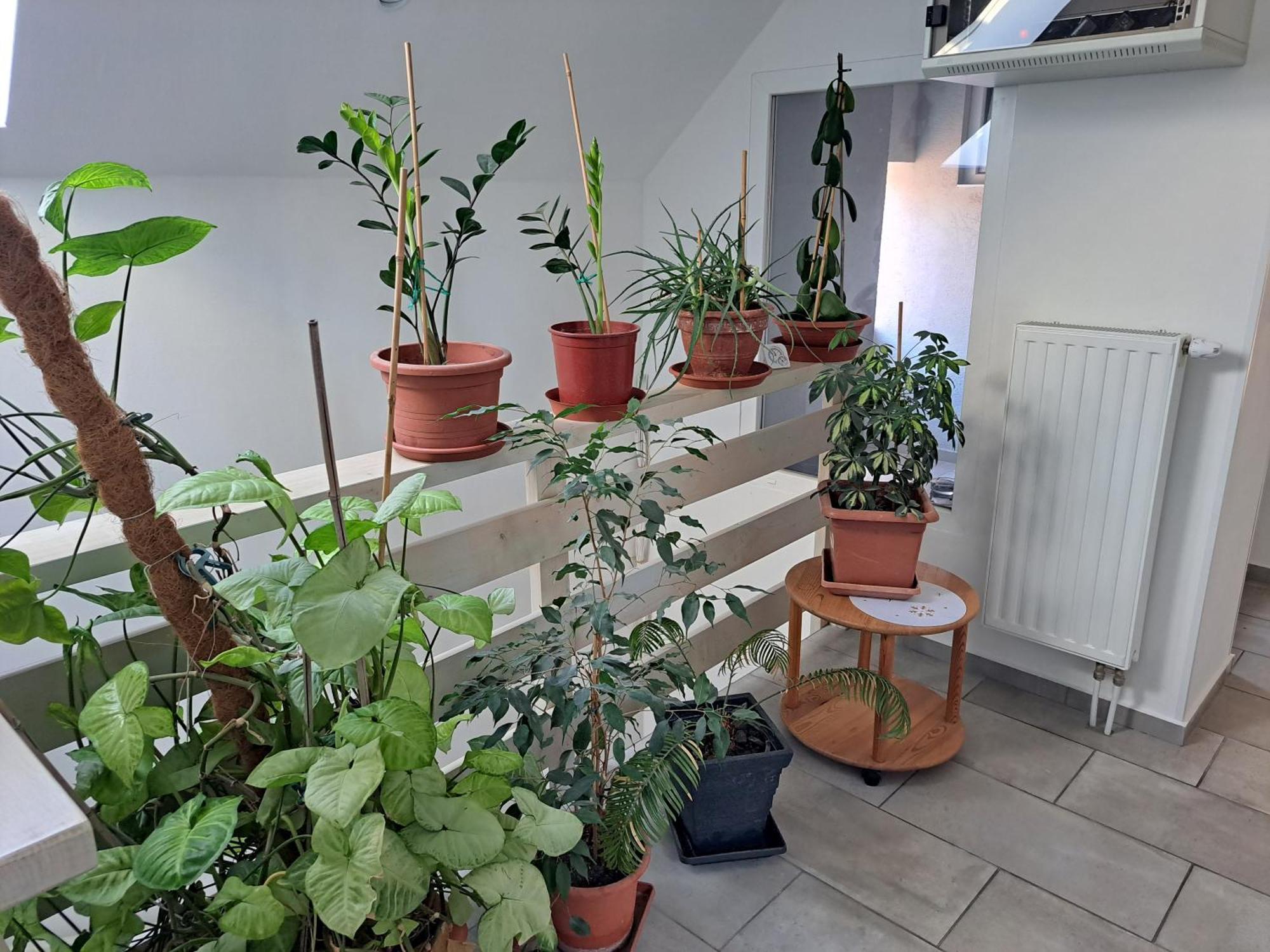 Apartmany Amalia Piestany Bagian luar foto